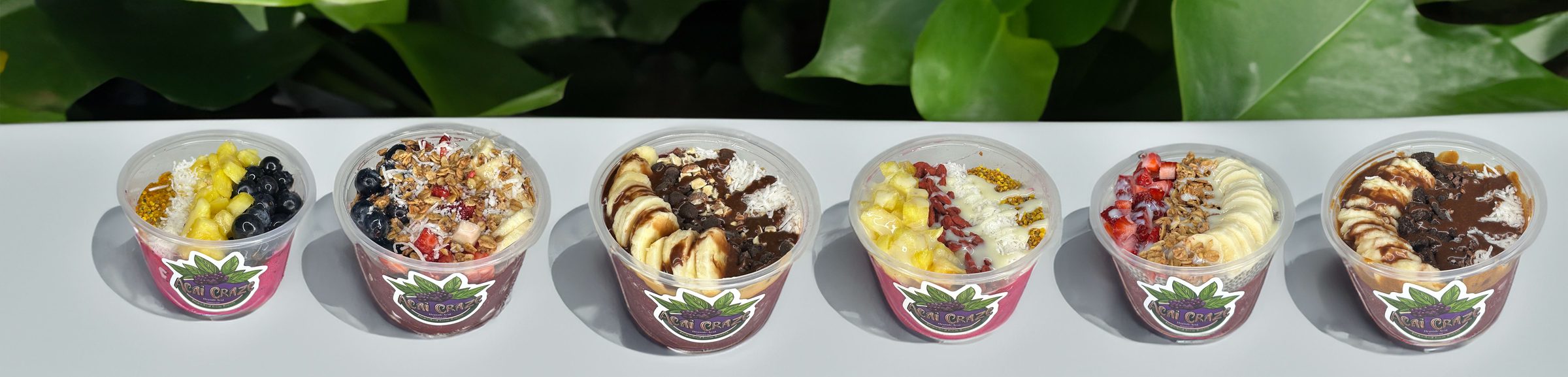 All six Acai Craze signature bowls lined up on a white counter in front of tropical leaves
